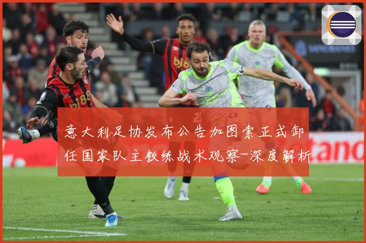 意大利足协发布公告加图索正式卸任国家队主教练战术观察-深度解析